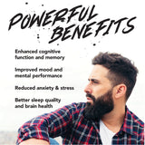 ALPHA Nootropic Pouches - APPLE MINT