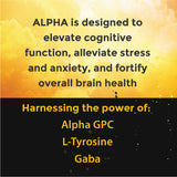 ALPHA Nootropic Pouches - APPLE MINT