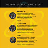 ALPHA Nootropic Pouches - APPLE MINT